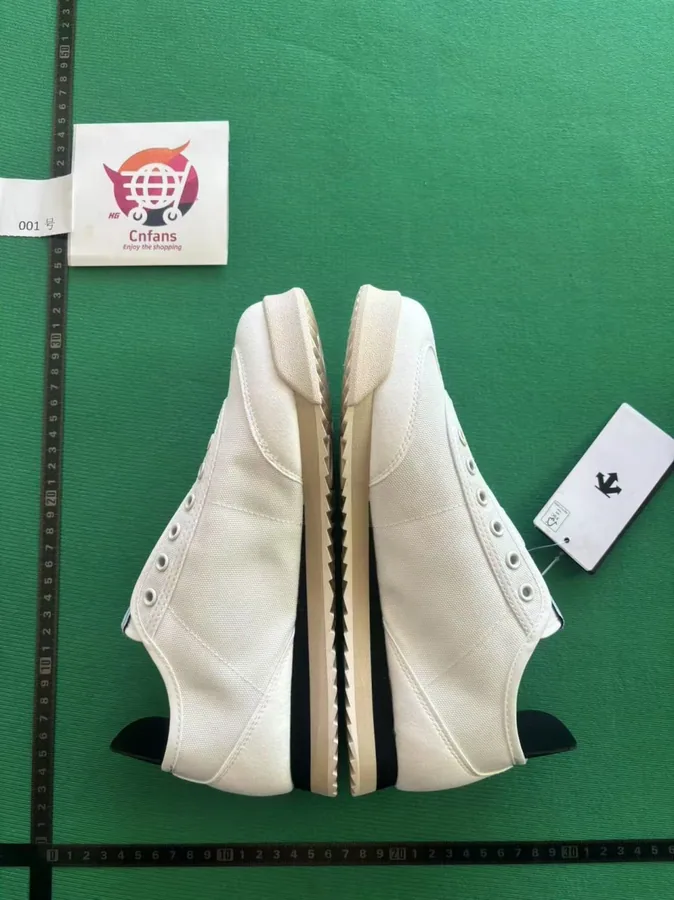 Descente Chrono shoes — Shoes find