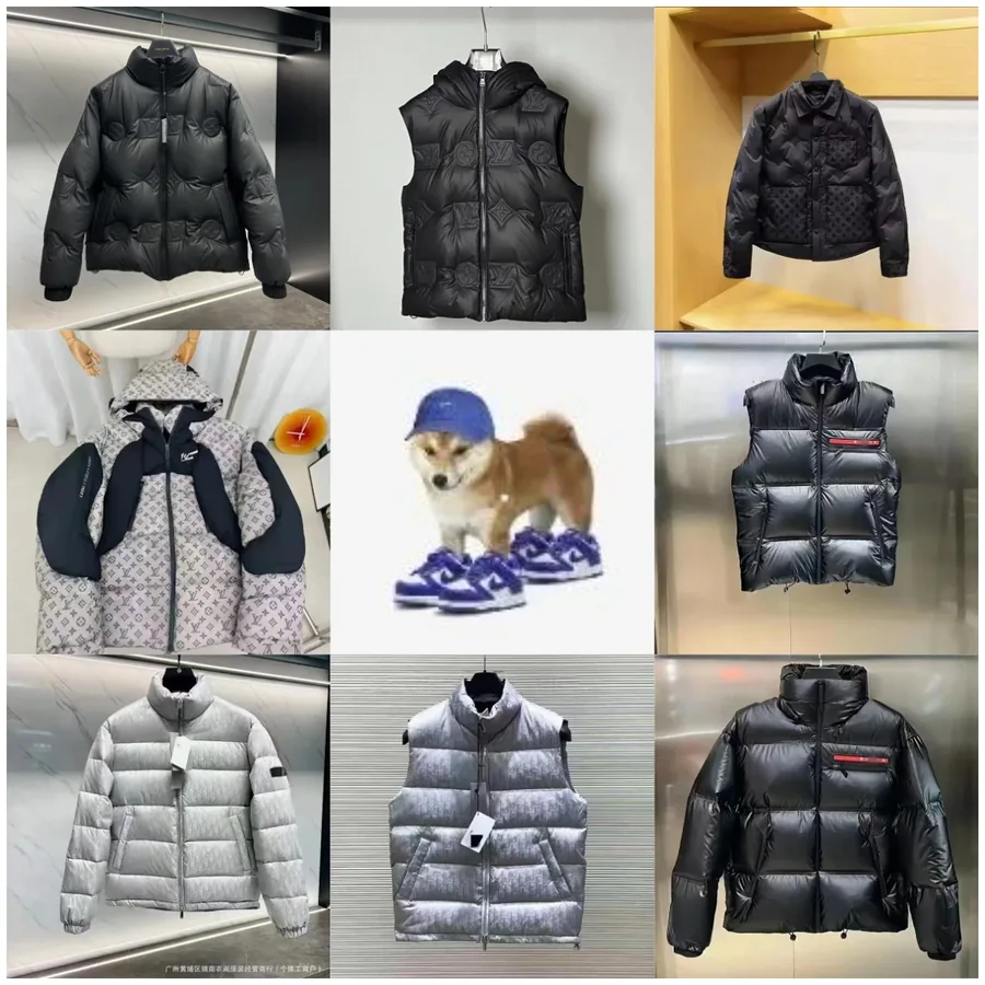 Louis Vuitton Monogram Down Jacket / Dior Oblique Puffer Vest / Ralph Lauren Black Quilted Jacket [27 styles] — Jackets find